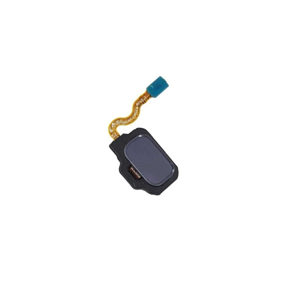 Lector de huellas para Samsung S8 /G950 /S8 Plus /G955 Gris