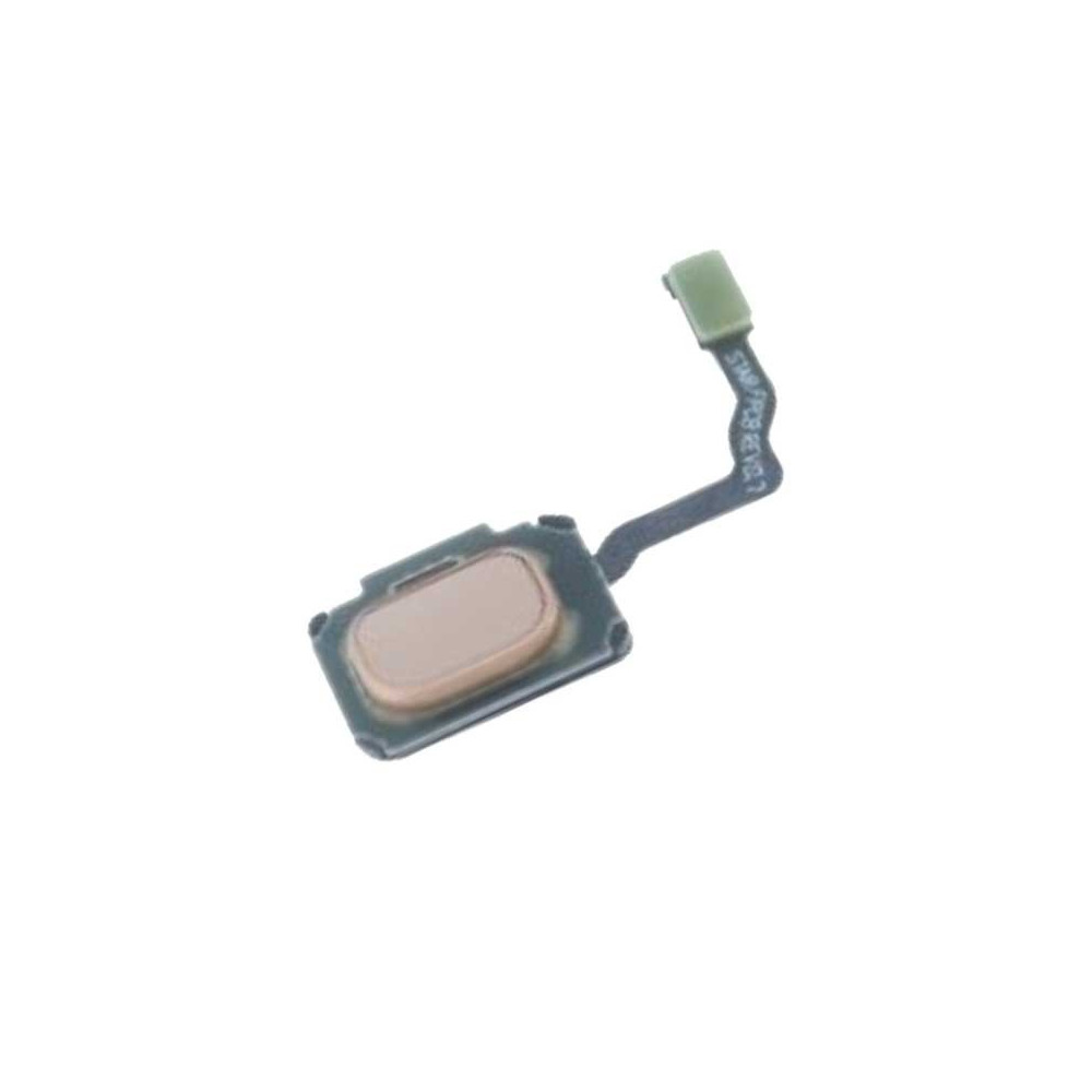 Lector de huellas para Samsung S9 G960 /S9 Plus G965 Oro