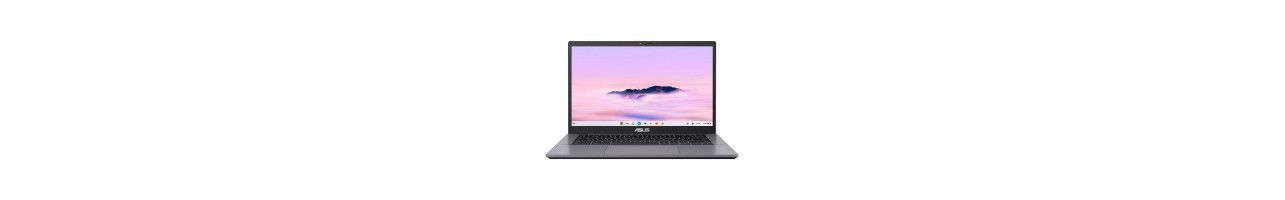 Chromebooks